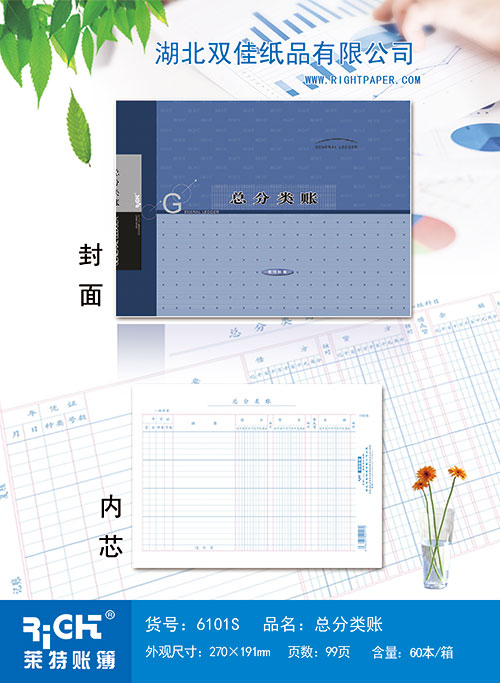 6101S--總分類賬